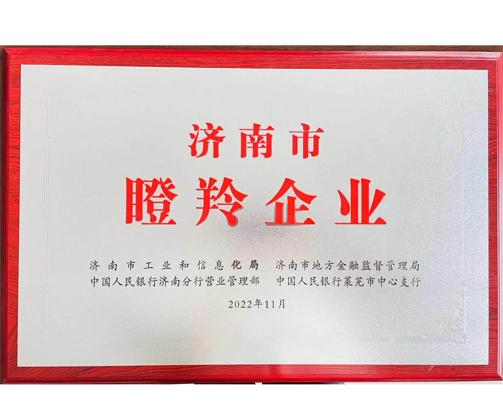 濟南市瞪羚企業(yè)