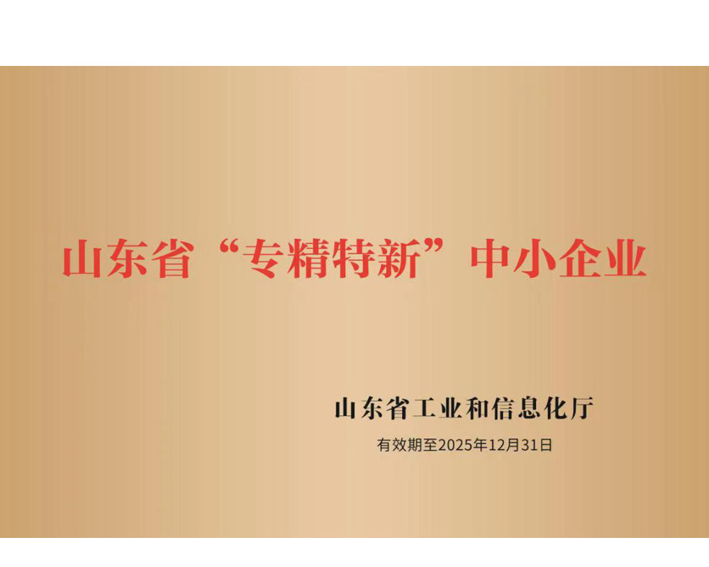 山東省專精特新中小企業(yè)